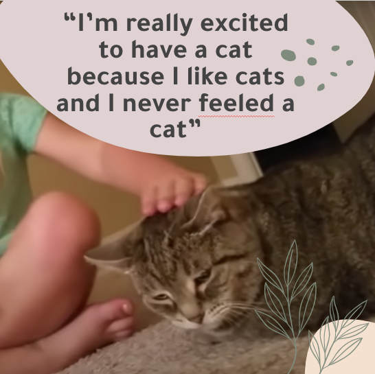 Facilitate and reflect